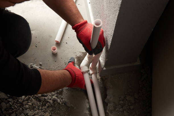 Best Local Plumber Services  in Loving, NM