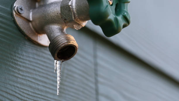 Best Commercial Plumbing Services  in Loving, NM