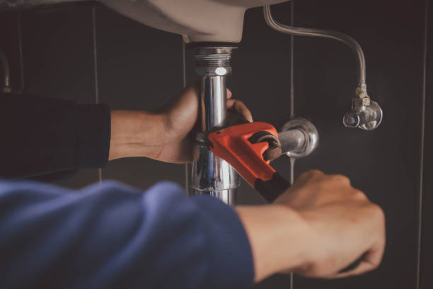 Best Emergency Plumbing Repair  in Loving, NM