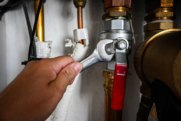 Best Same-Day Plumbing Service  in Loving, NM